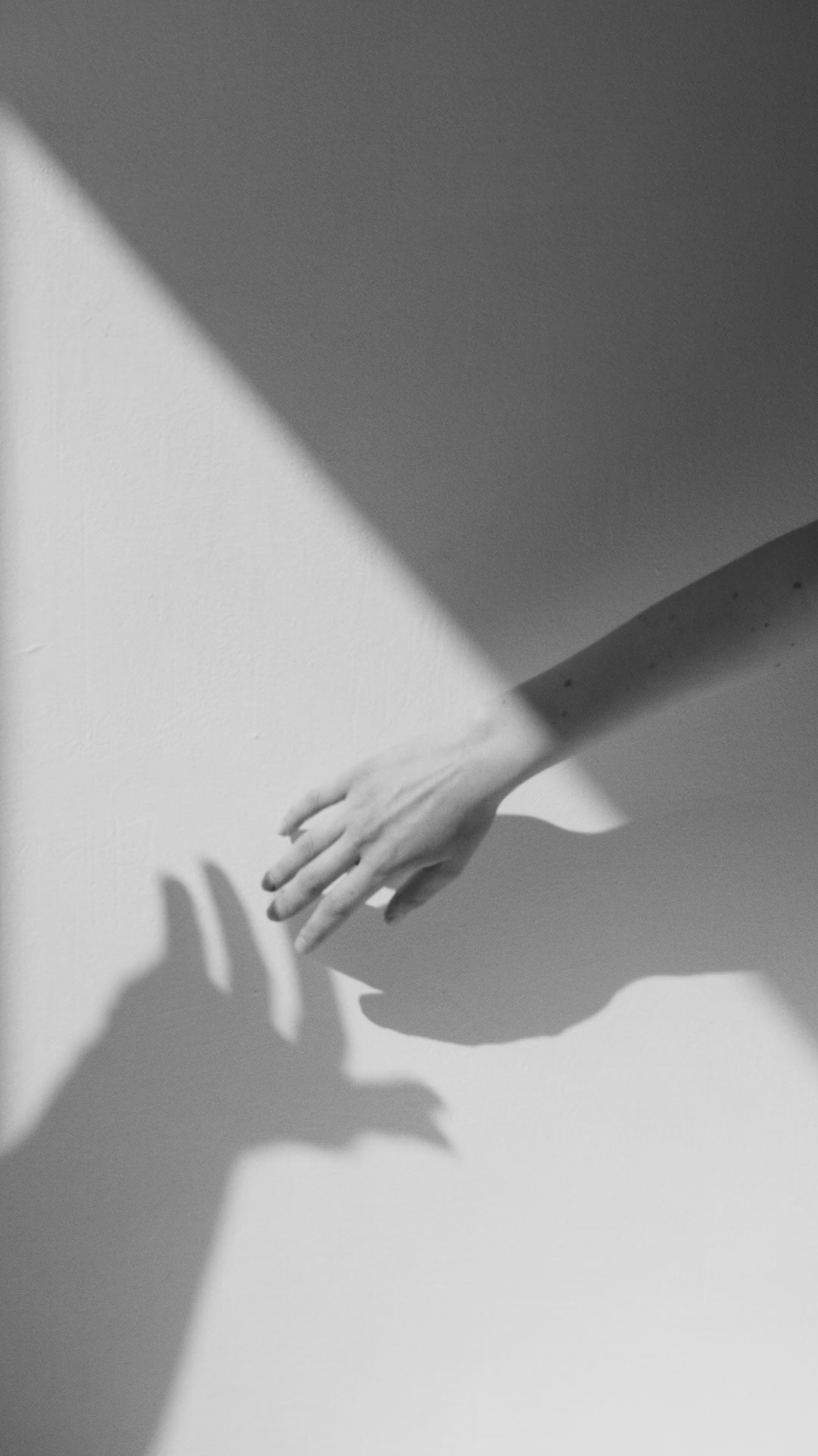 Eine Frauenhand bewegt sich. Der Schatten zeigt sich dabei auf der Wand.